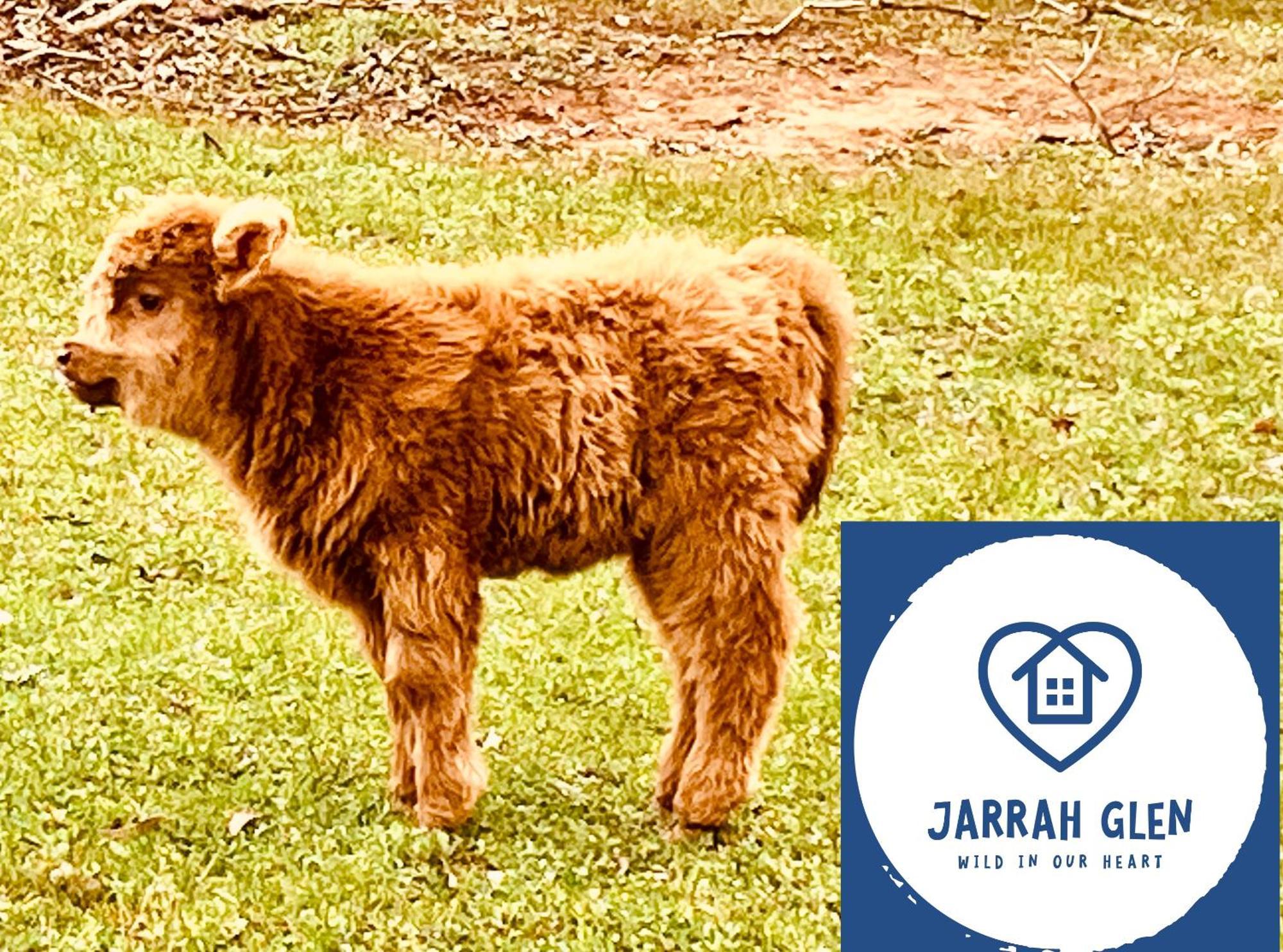 Jarrah Glen Cabins Нанъп Екстериор снимка