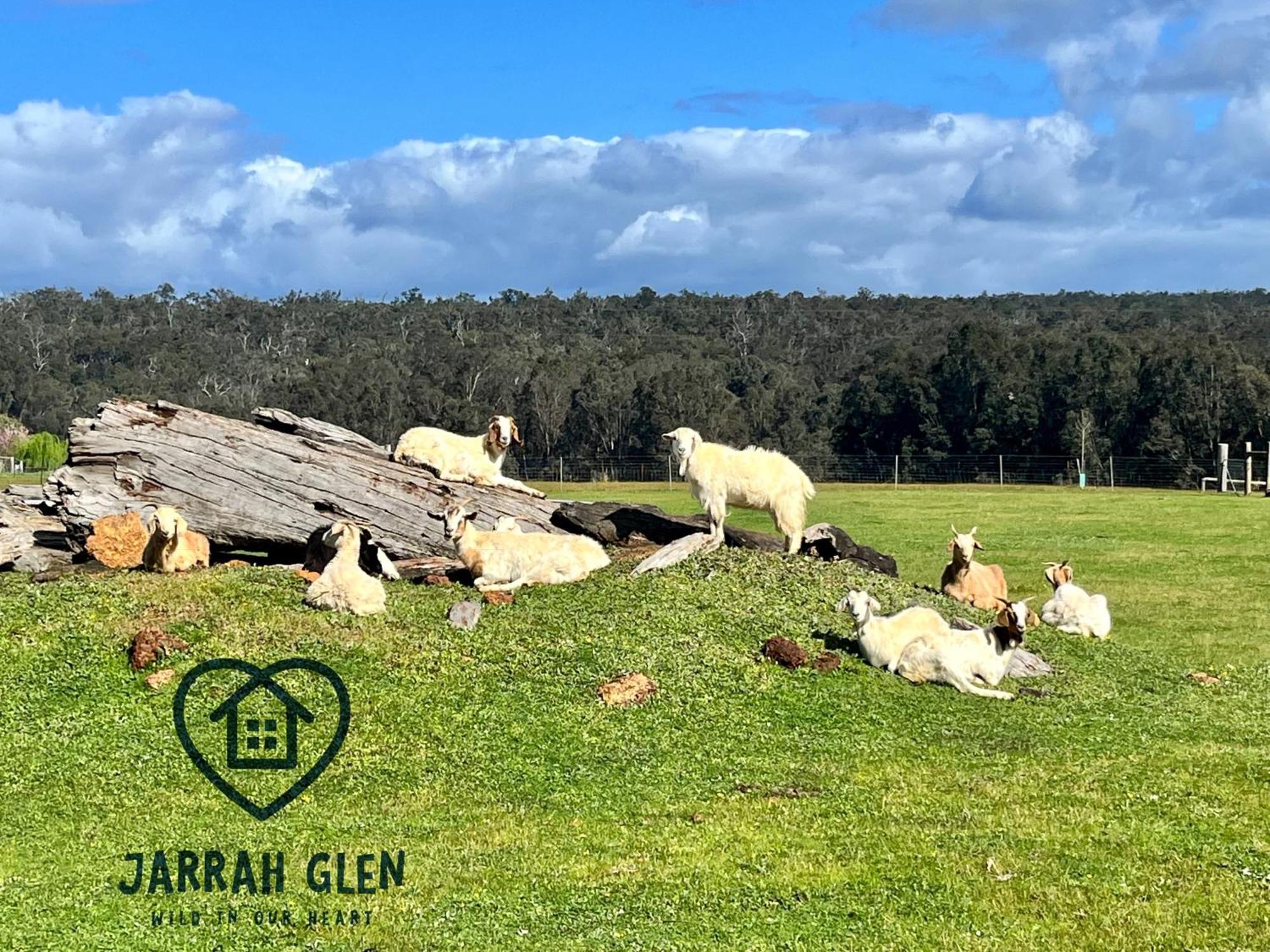 Jarrah Glen Cabins Нанъп Екстериор снимка